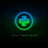 Python Mirror Support Group
